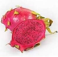 Red Pitaya Fruit Seeds for Planting - Sweet & Juicy Pitaya for Home Gardens